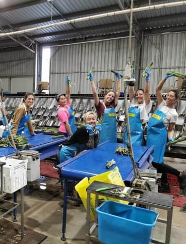 Working in a pack house in Australia