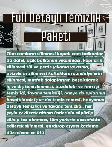 Full Detaylı Temizlik Paketi