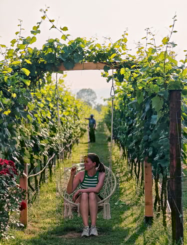Monte Grande Winery