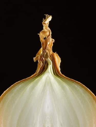 brown crinkled skin of the top of an onion cut in half against black