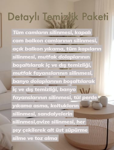 Detaylı Temizlik Paketi
