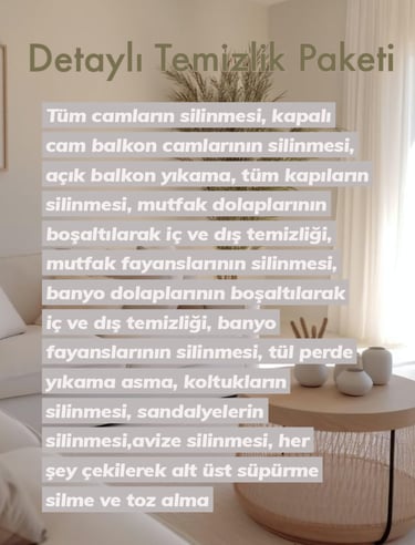 Detaylı Temizlik Paketi