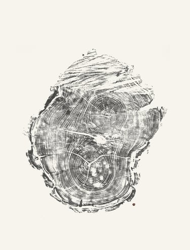 Grabado árbol Acacia 01, hecho a mano Autreesia estudio. Javier Núñez Arquitecto
