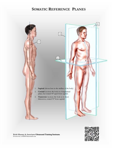 Standard human somatic image planes.