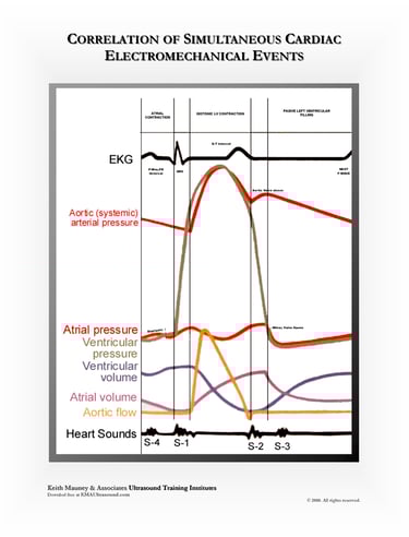 The heart- correlation of simultaneous electromechanical events.