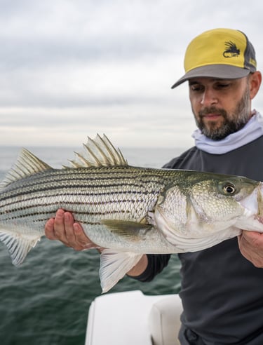 Montauk Striped Bass