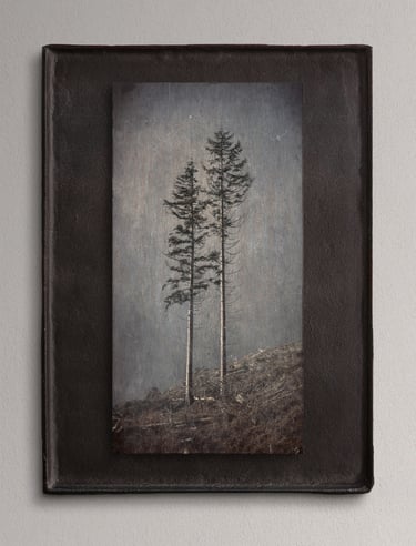 Stillness of Being by Norman Stevenson - fine art photograph of two pine trees