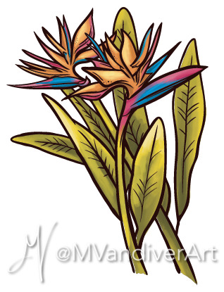 Illustrations from the menu for Beachbum Berry's Latitude 29 by New Orleans artist Melissa Vandiver.