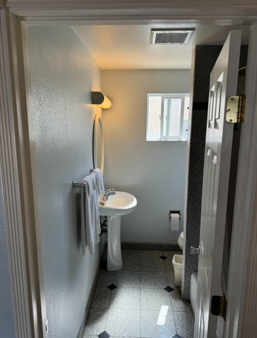 a bathroom with a sink, toilet, and a shower 