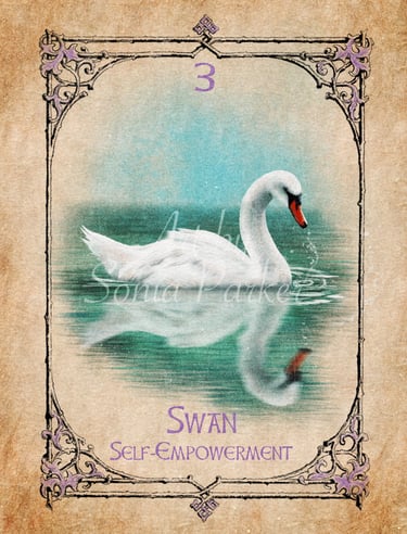 Swan card from the animal spirit oracle deck