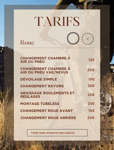 Réparation roue de vélo, changement chambre a aire, crevaison, dévoilage, a domicile