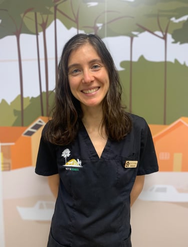 docteur El Attar Sofi vétérinaire 