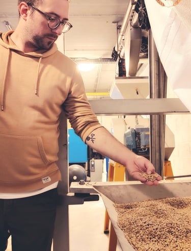 grains de malt