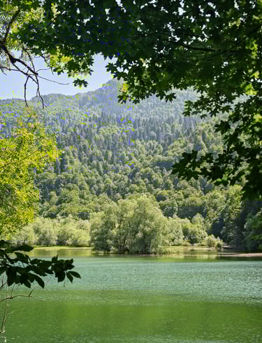Biogradsko Lake