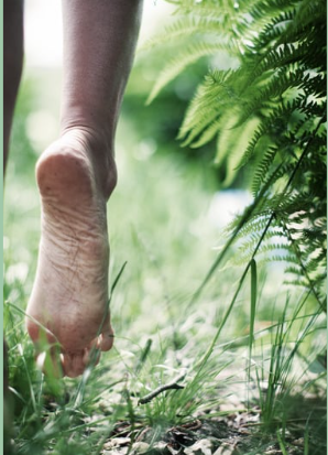 a person walking on the grass with their feet in the grass at Wellness retreat in Chiapas Mexico