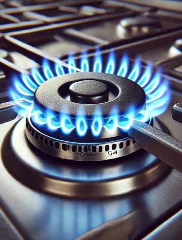 gas burner repair in Orleans