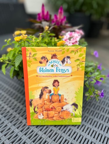Pferdebuch Die Schule der kleinen Ponys