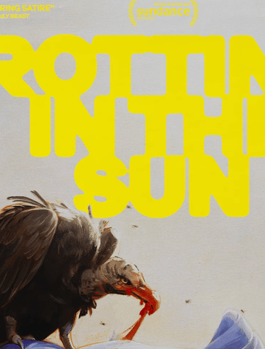Rotting in The Sun