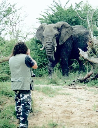 Paul Apps facing a large bull Elephant in Swaziland South Africa