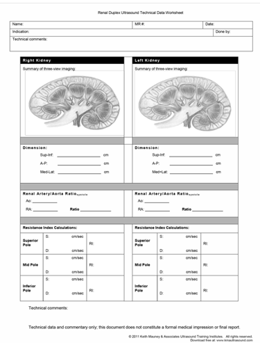 Duplex ultrasound renal Doppler worksheet.