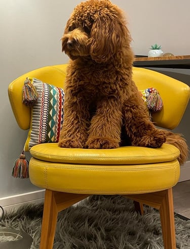 Yellow accent chair placed in Teen bedroom
