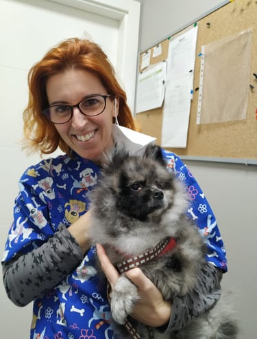 úlcera corneal en perros