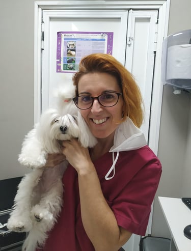 conjuntivitis en perros