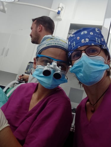 úlcera corneal en gatos