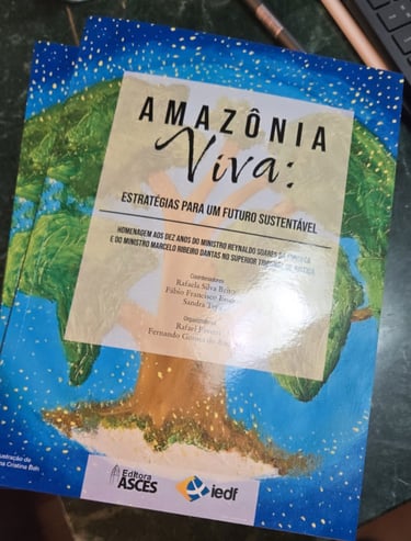 Diagramador Especializado | Layout Perfeito para o Seu Livro