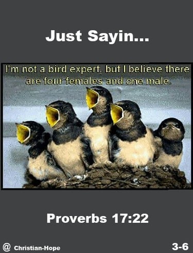 The Lord Has A Sense of Humor