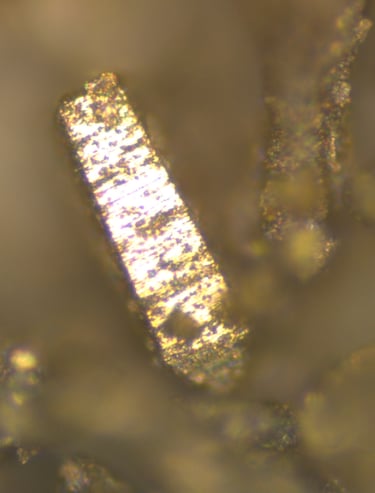 SBMOF - Cristal MOF74