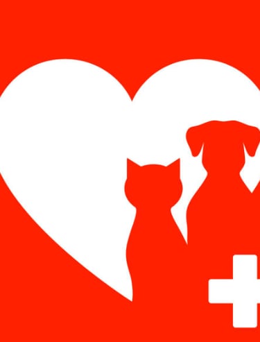 Veterinaria Patitas y Sonrisas