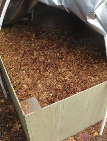 Our leaf mold container.