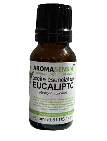eucalipto