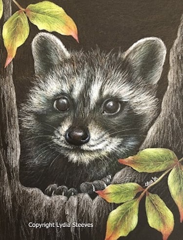 Lydia Steeves zoom colored pencil design "Snug As A Bug"