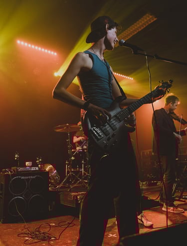 Michiel Wallinga - Muzikant