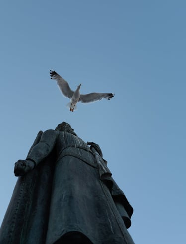 Low‑angle view of a statue with a seagull overhead against a clear sky, By ACAT Photos