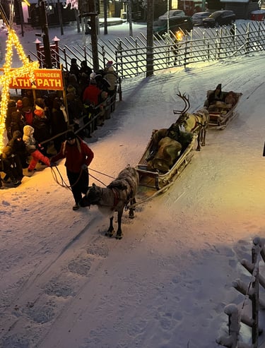 Santa's Reindeer