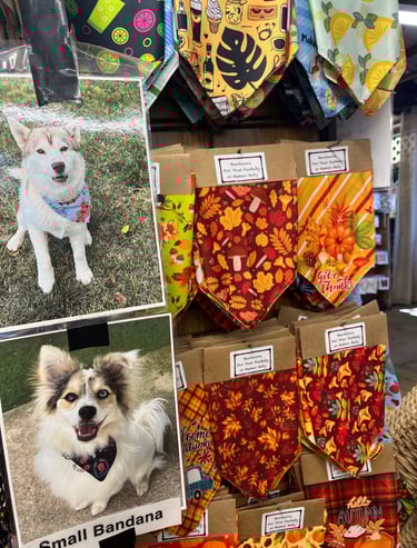 dog-friendly apple hill farms