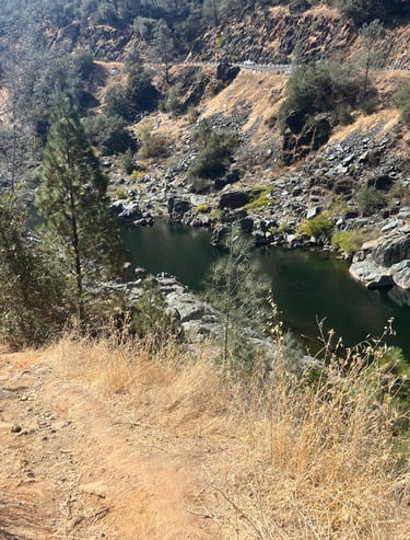 dog-friendly Auburn CA