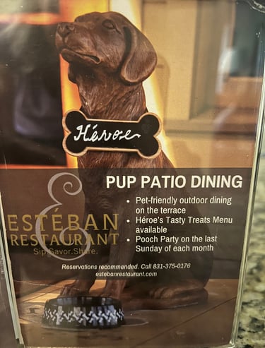 casa munras dog friendly monterey ca