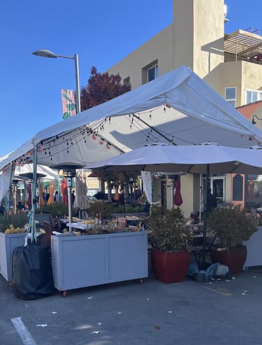 dog friendly palo alto ca