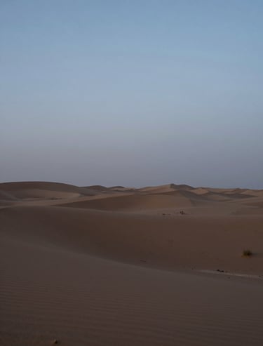 A quiet, wide shot of a desert landscape at blue hour, serene and cinematic, featuring shades of #4A616F and #F2F5F7.