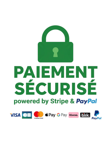 Secure payment badge featuring a green padlock and logos for Stripe, PayPal, Visa, and Mastercard.