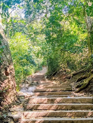 Stone stairway leading to the summit of Nandi Hills, surrounded by mist and hilltop greenery near Bengaluru.