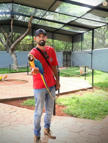 Colorful macaw sitting on a visitor’s hand at Rajali Bird Park, Thanjavur