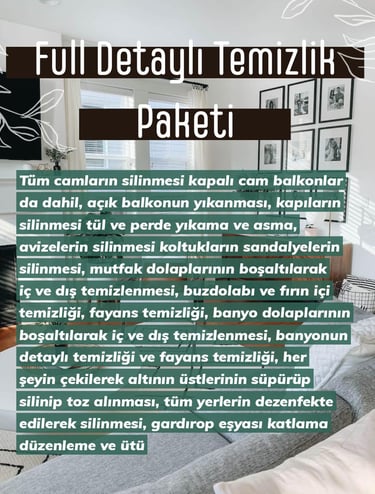 Full Detaylı Temizlik Paketi
