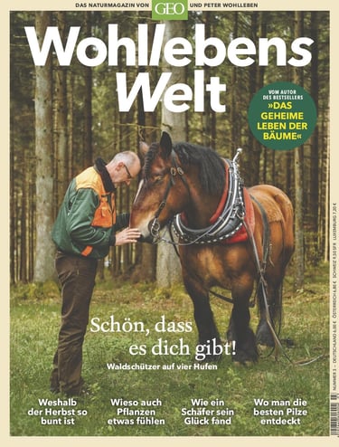 Wohllebens Welt 3/2019 cover