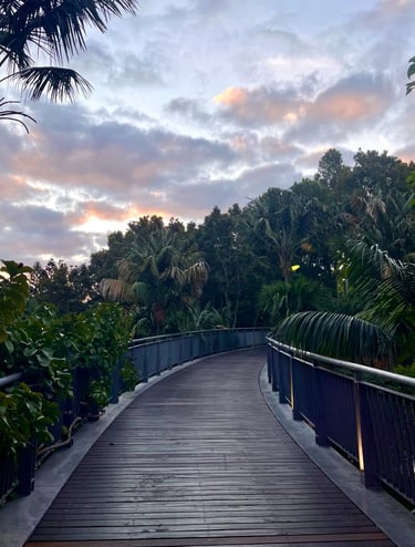 a wooden walkway leading to a lush green area in the sunset, the possible path