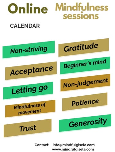 Topic list for 1-hour one-to-one Mindfulness sessions